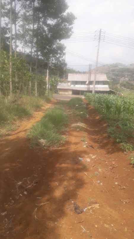 dijual murah lahan cijapati cikancung kab bandung