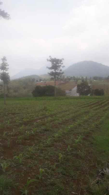 dijual murah lahan cijapati cikancung kab bandung