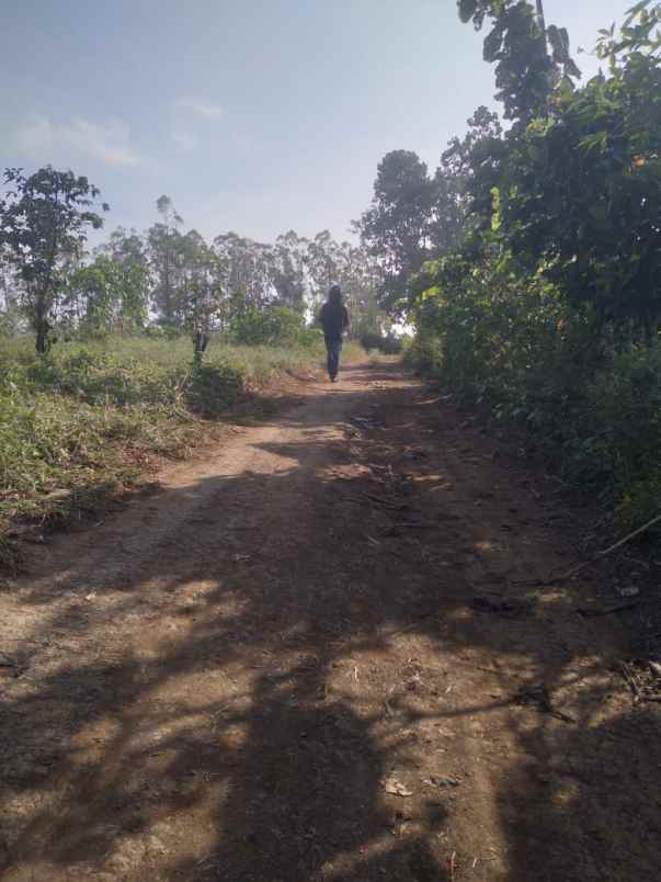 dijual murah lahan cijapati cikancung kab bandung