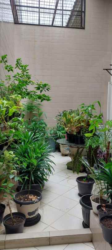 dijual rumah citra garden 2