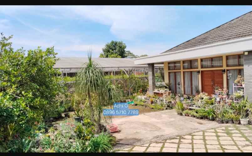 dijual rumah ciumbuleuit