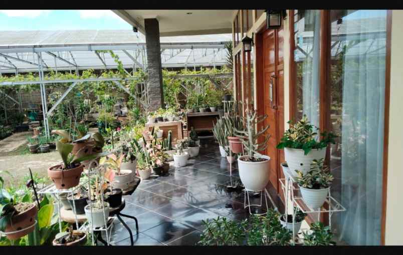 dijual rumah ciumbuleuit