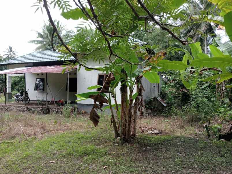 dijual rumah jalan abu ulin