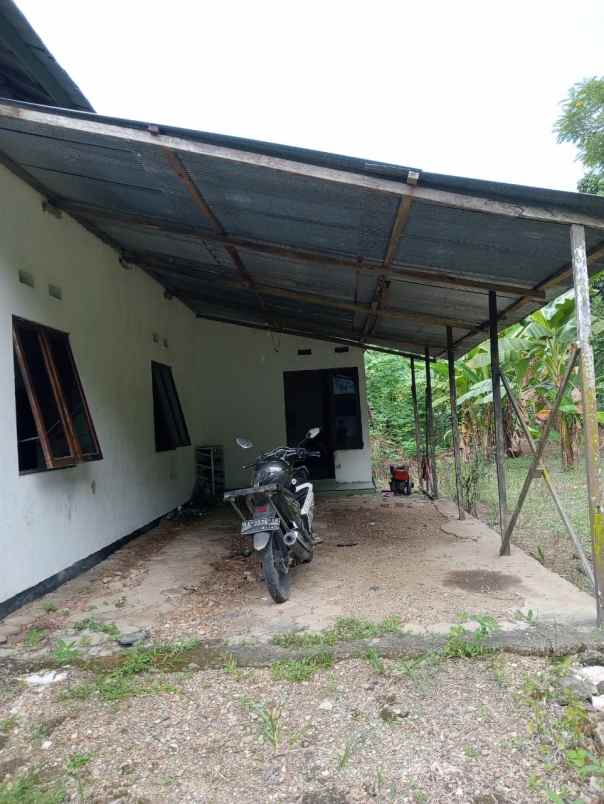 dijual rumah jalan abu ulin