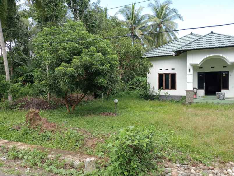 dijual rumah jalan abu ulin