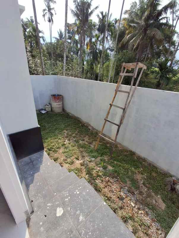 dijual rumah jalan sumatera hangtuah