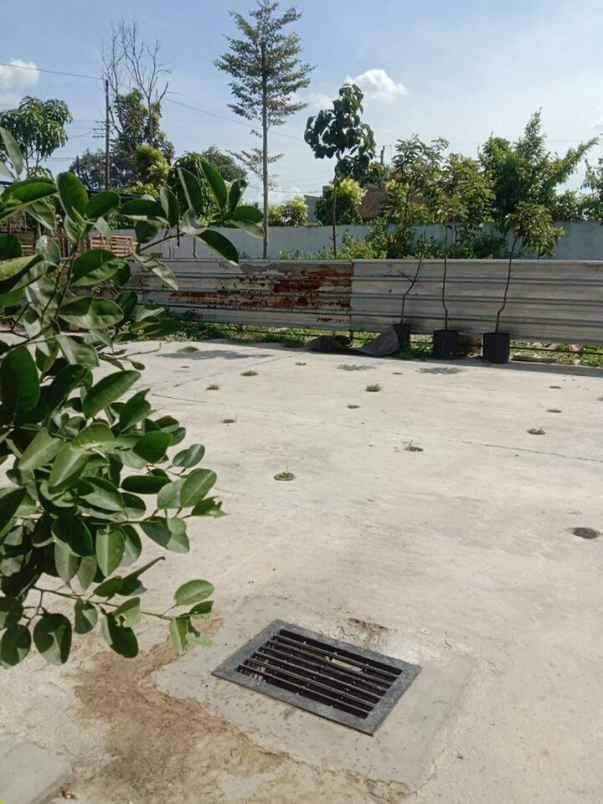 dijual rumah jetis sawahan ngemplak