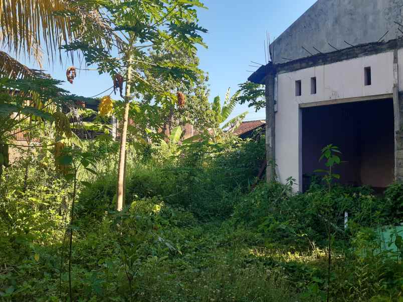 dijual rumah kaliwates