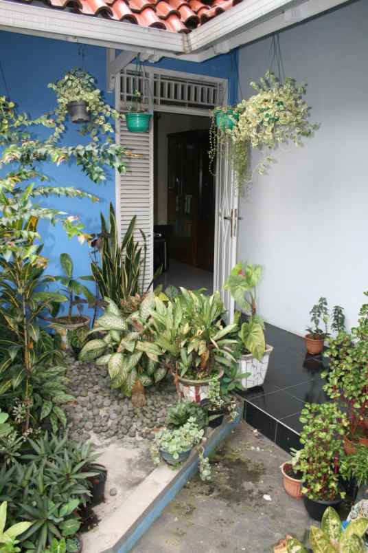 dijual rumah padasuka ciomas bogor