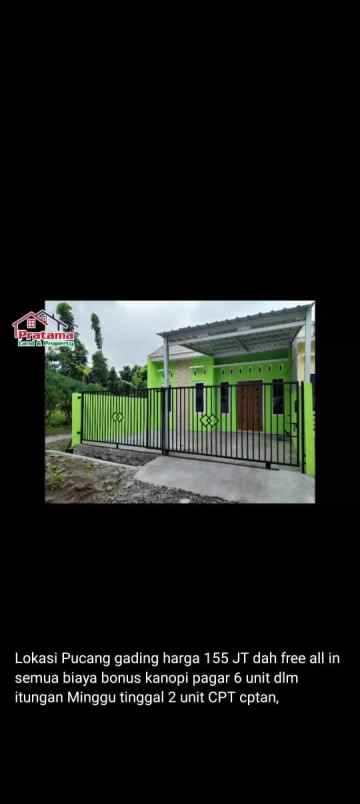 dijual rumah pucanggading pedurungan