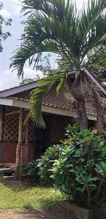 dijual rumah sukaluyu cianjur kab