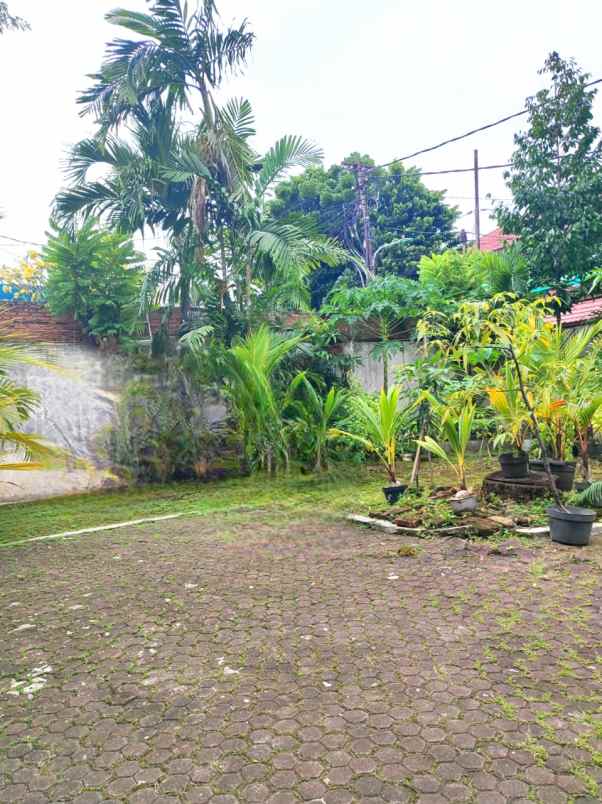 dijual rumah utan kayu matraman