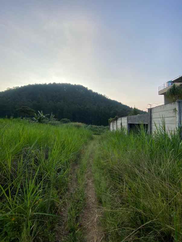 dijual tanah abdul gani atas