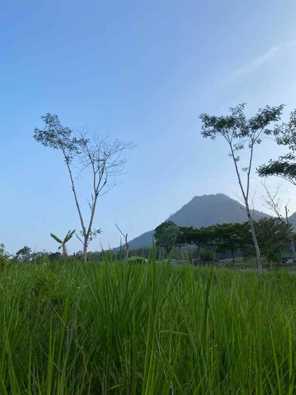 dijual tanah abdul gani atas