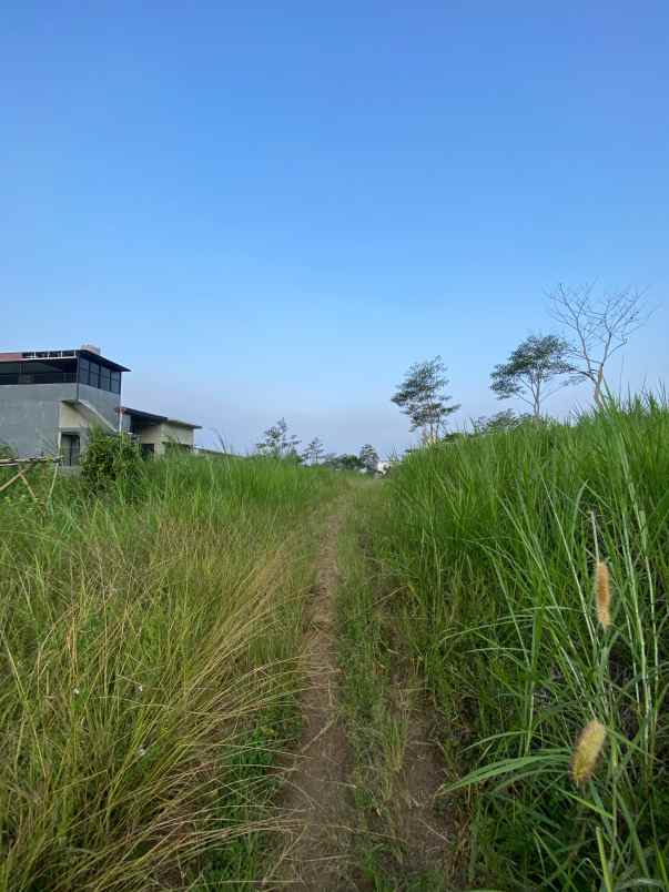 dijual tanah abdul gani atas