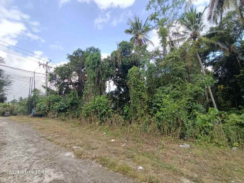 dijual tanah antap tabanan bali