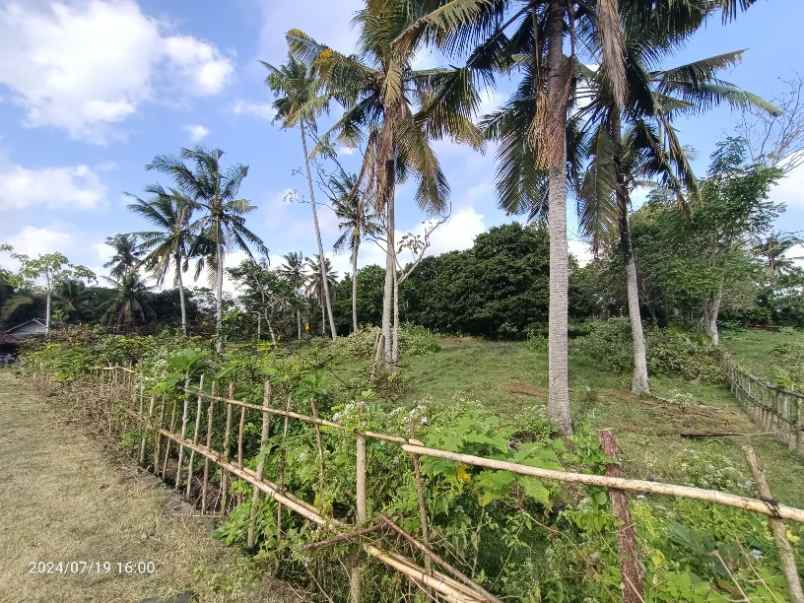 dijual tanah antap tabanan bali