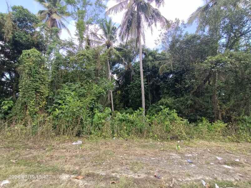 dijual tanah antap tabanan bali