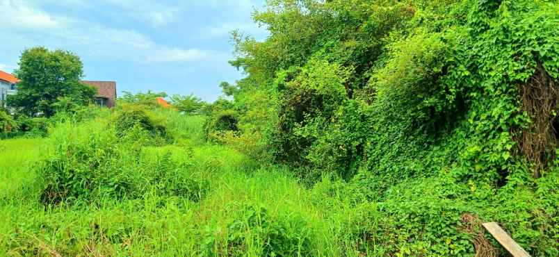 dijual tanah area gatsu barat denpasar bali