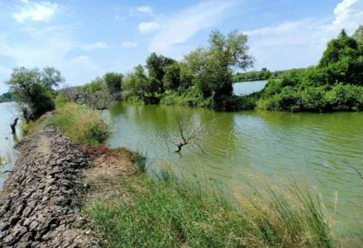 dijual tanah area tambak kec ujung pangkah kab gresik