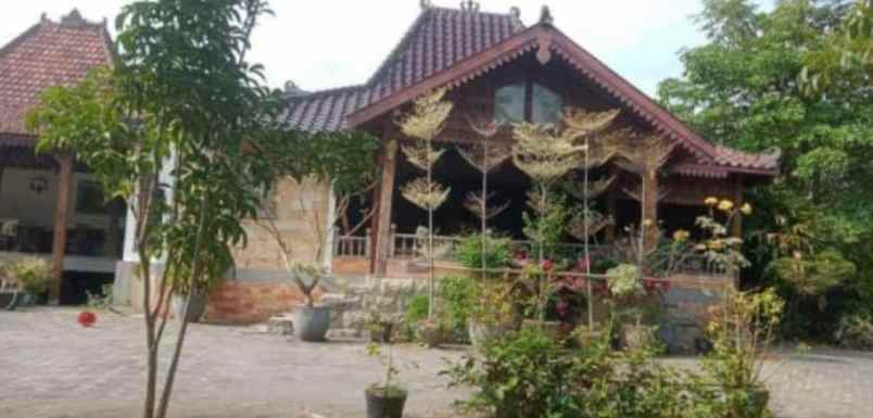 dijual tanah bangunan di lamongan