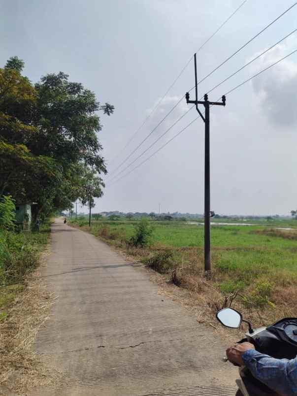 dijual tanah bangunan di lamongan