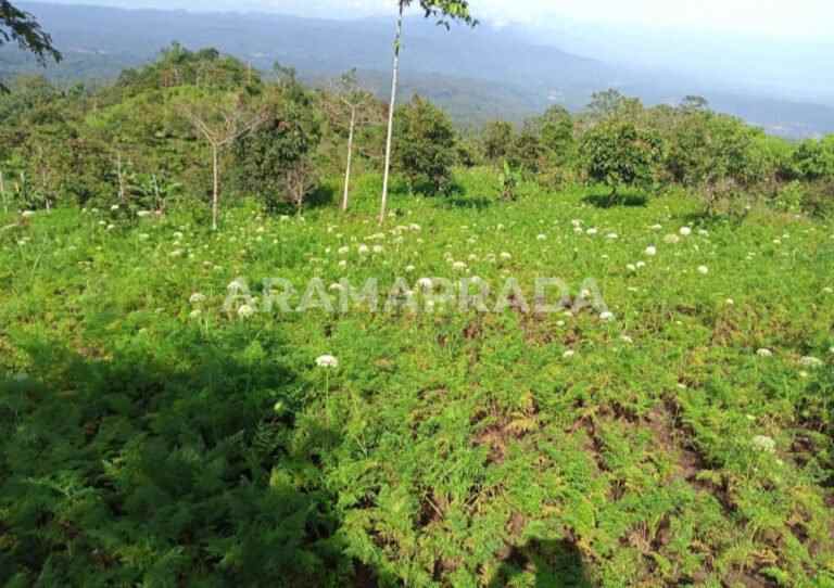 dijual tanah banjar buleleng