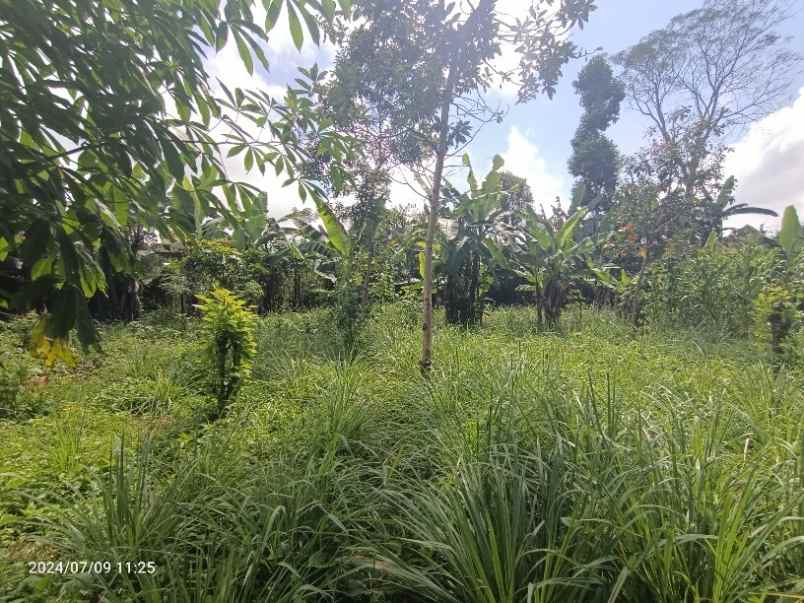 dijual tanah baturiti tabanan bali