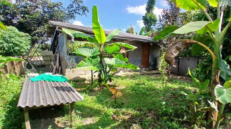 dijual tanah baturiti tabanan bali