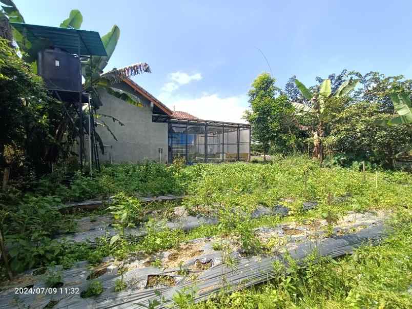 dijual tanah baturiti tabanan bali