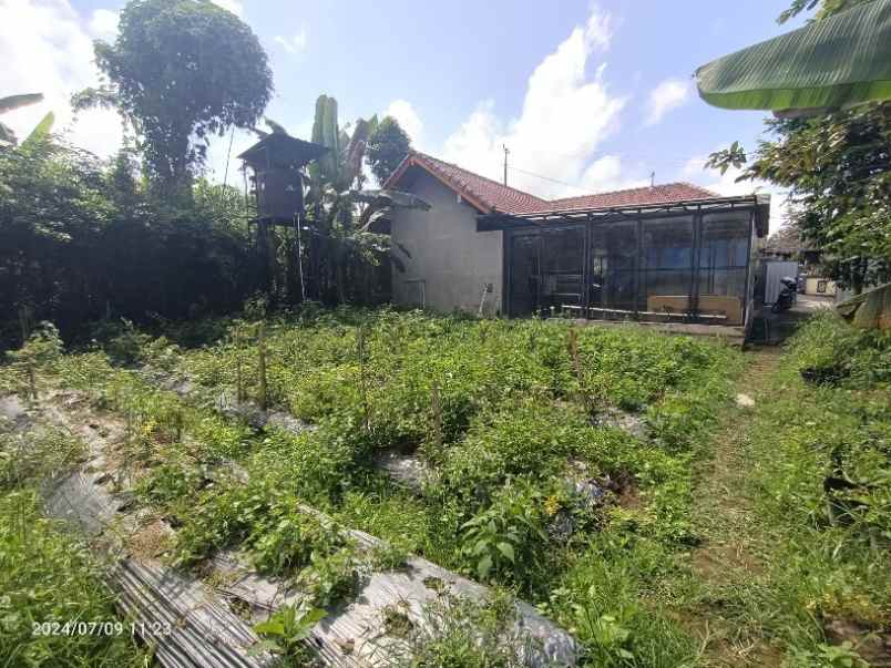 dijual tanah baturiti tabanan bali