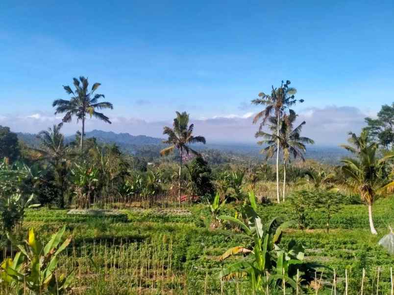 dijual tanah baturiti tabanan bali