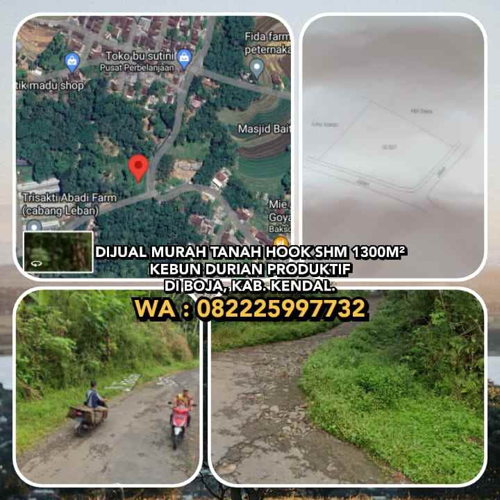 dijual tanah boja kab kendal