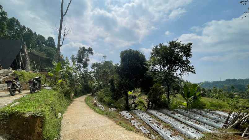 dijual tanah bojong