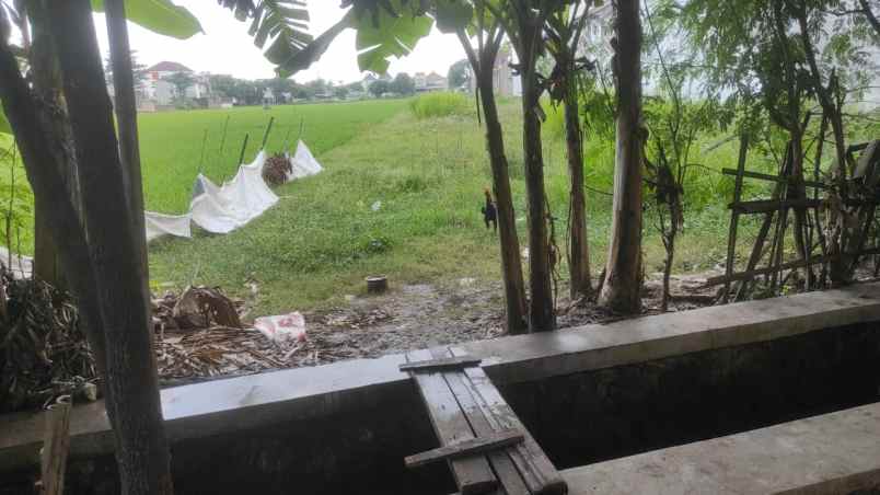 dijual tanah bulak indah karang asem solo