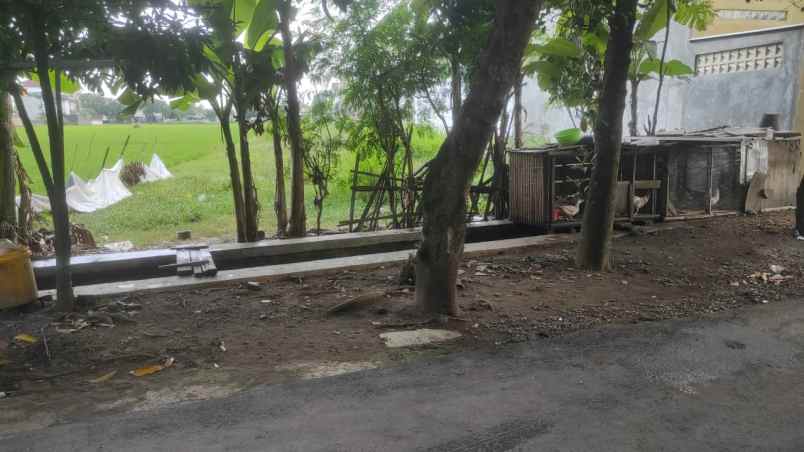 dijual tanah bulak indah karang asem solo