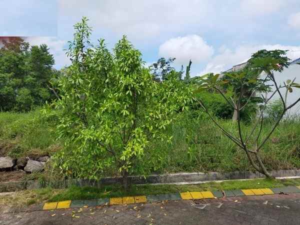 dijual tanah bumi citra fajar