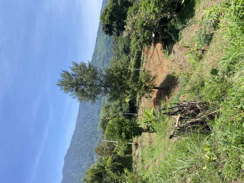 dijual tanah cigombong best view murah