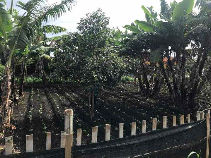 dijual tanah cihanjuang