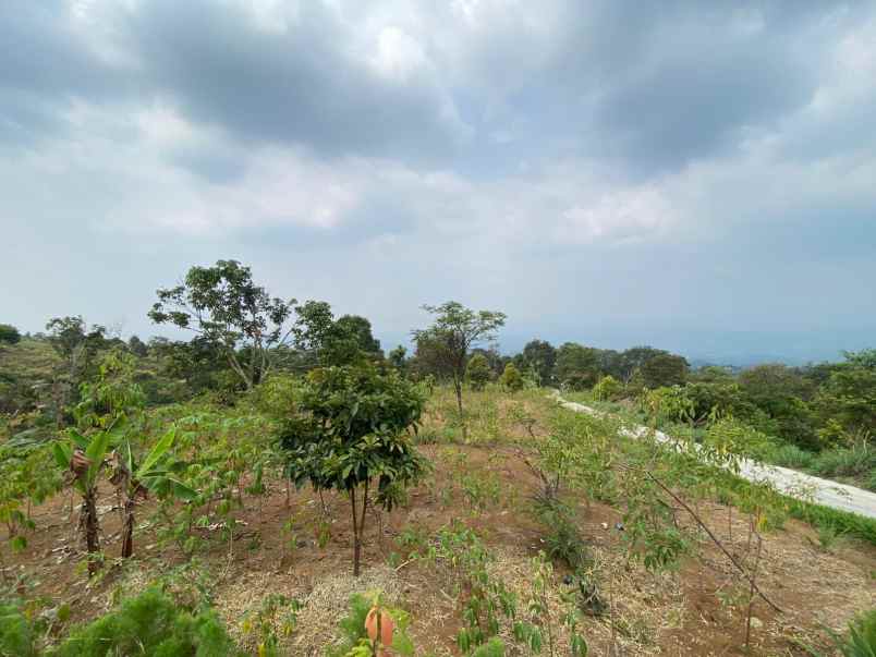 dijual tanah cijeruk best view