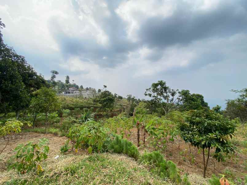 dijual tanah cijeruk best view