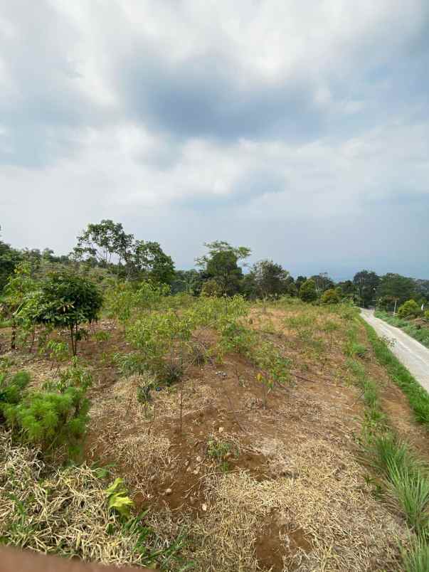 dijual tanah cijeruk best view