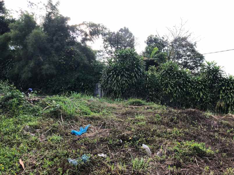 dijual tanah cijeruk bogor