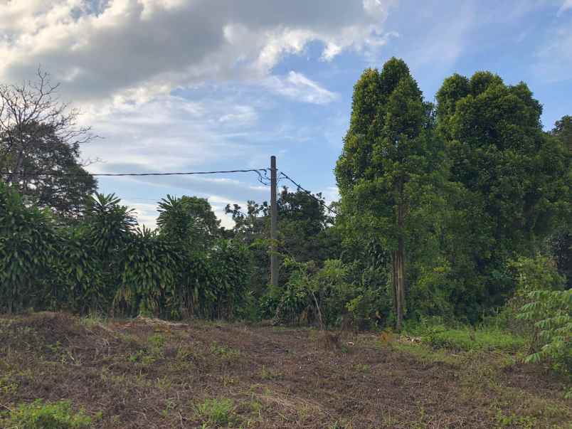 dijual tanah cijeruk bogor