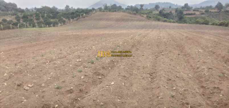 dijual tanah daerah karo jalan kebun