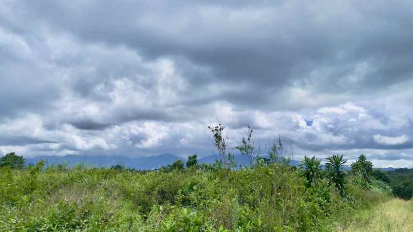 dijual tanah darangdan