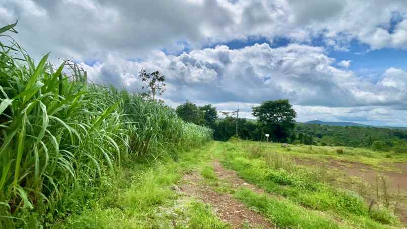 dijual tanah darangdan