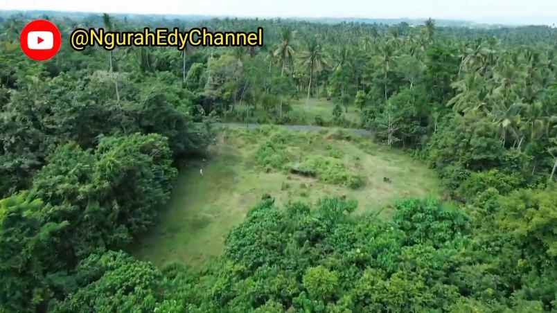 dijual tanah desa bengkel sari