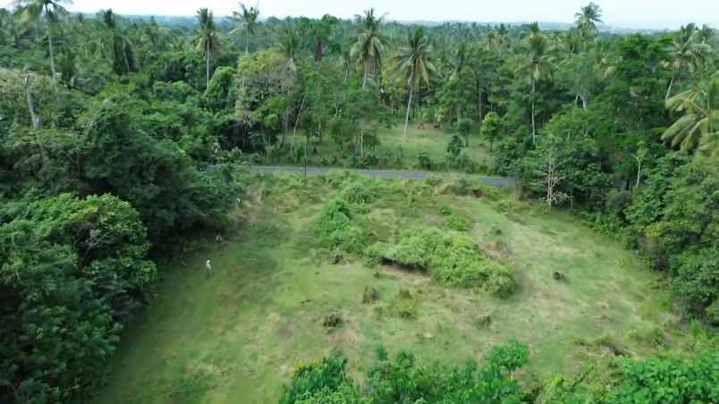 dijual tanah desa bengkel sari