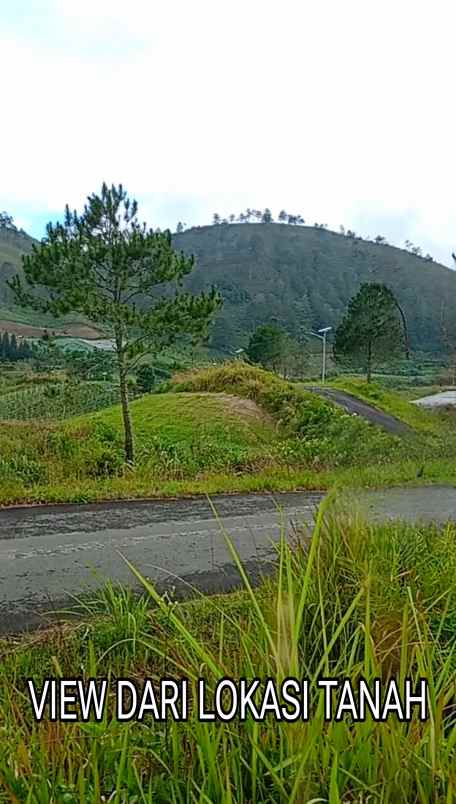 dijual tanah desa pangambatan merek